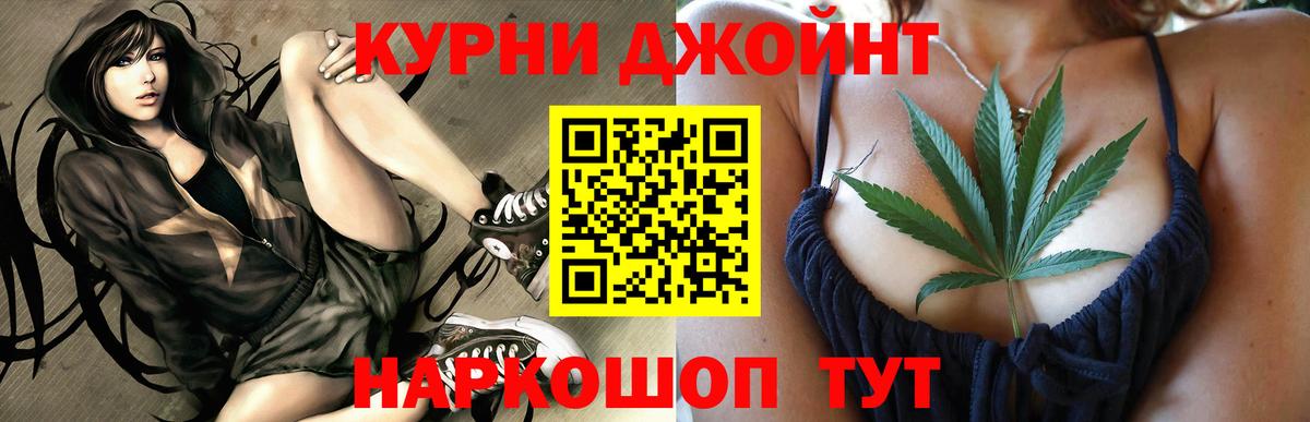 Искитим  МАРИХУАНА план  Канабис MAZAR  Вход с VPN 